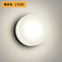 【OG254982LR】オーデリック エクステリア ポーチライト 60W 電球色 LED 調光器不可 ODELIC