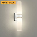 【OG254893LR】オーデリック エクステリア ポーチライト 20W LED 電球色 調光器不可 絶縁台別売 ODELIC