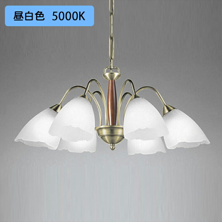 OC006487NRۥǥå ǥꥢ 10 LED  ĴԲ ODELIC