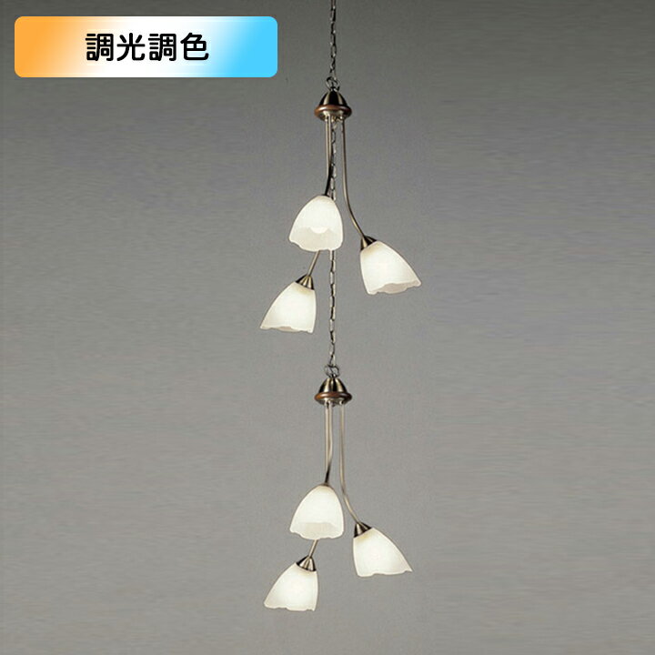 OC079265BRۥǥå ǥꥢ ưб 100W Ǯ 6 LED ŵ忧- ĴĴ...