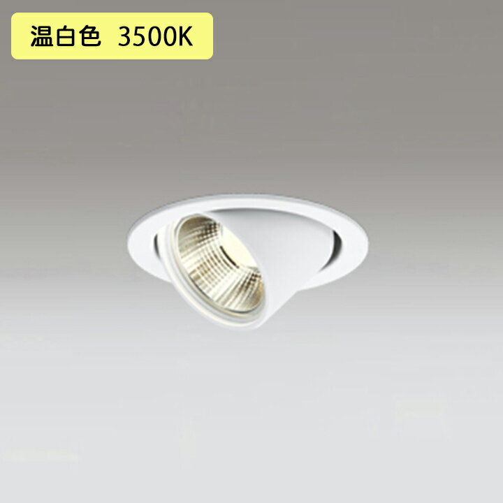 OD361351Rۥǥå 饤 100W Ǯ LEDη  Ĵ磻۸ ˥С Ĵ OD...