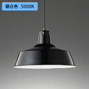 【OP252323NR】オーデリック ペンダントライト 100W 白熱灯器具 LED電球ボール球形 昼白色 調光器不可 ODELIC(3)