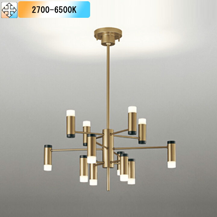 OC257196BRۥǥå ǥꥢ LEDη 鿧LED ĴԲ ȥ顼 ŵ忧- ODELIC