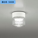【OG264046NR】オーデリック バスルームライト・脱衣場ライト LED電球フラット形 高演色LED 白熱灯器具60W相当 調光器不可 昼白色 ODELIC