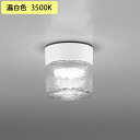 【OG264046WR】オーデリック バスルームライト・脱衣場ライト LED電球フラット形 高演色LED 白熱灯器具60W相当 調光器不可 温白色 ODELIC