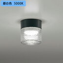【OG264047NR】オーデリック バスルームライト・脱衣場ライト LED電球フラット形 高演色LED 白熱灯器具60W相当 調光器不可 昼白色 ODELIC