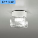 【OG264048NR】オーデリック バスルームライト・脱衣場ライト LED電球フラット形 高演色LED 白熱灯器具60W相当 調光器不可 昼白色 ODELIC