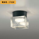 【OG264049LR】オーデリック バスルームライト・脱衣場ライト LED電球フラット形 高演色LED 白熱灯器具60W相当 調光器不可 電球色 ODELIC