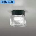 【OG264049NR】オーデリック バスルームライト・脱衣場ライト LED電球フラット形 高演色LED 白熱灯器具60W相当 調光器不可 昼白色 ODELIC