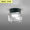 【OG264049WR】オーデリック バスルームライト・脱衣場ライト LED電球フラット形 高演色LED 白熱灯器具60W相当 調光器不可 温白色 ODELIC