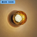 【OG264067NR】オーデリック エクステリア ポーチライト LED電球フラット形 高演色LED 白熱灯器具60W相当 調光器不可 昼白色 ODELIC