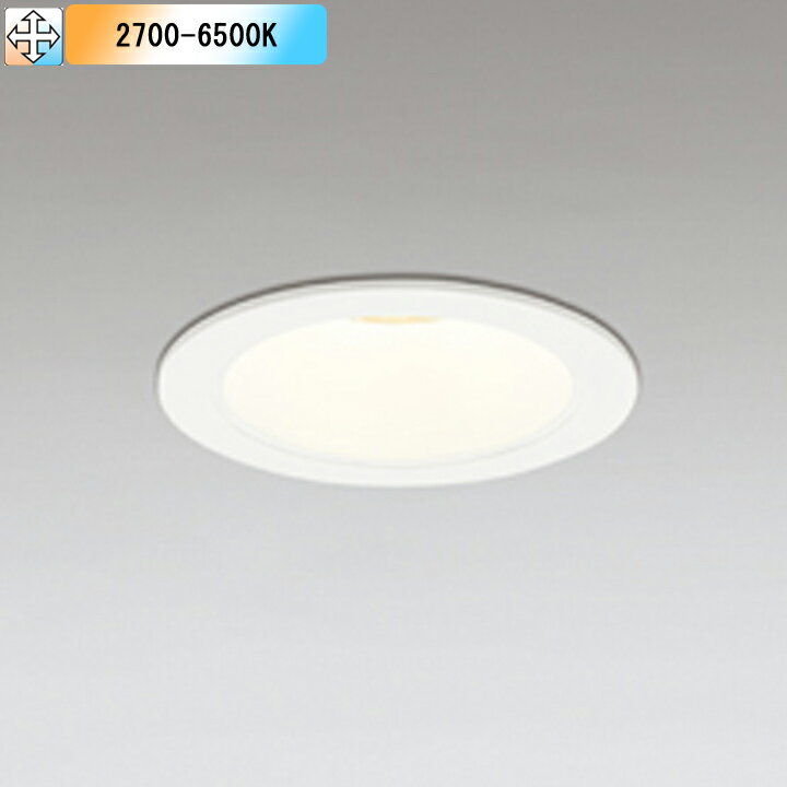 OD361495BRۥǥå 饤(S) LEDη 鿧LED 100W饹 Ǯ եۥ磻 ȥ...