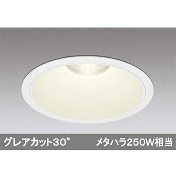 XD301128ۥǥå ϥѥ١饤 LEDη odelic