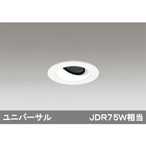 XD604117HCۥǥå ˥С饤 LEDη odelic