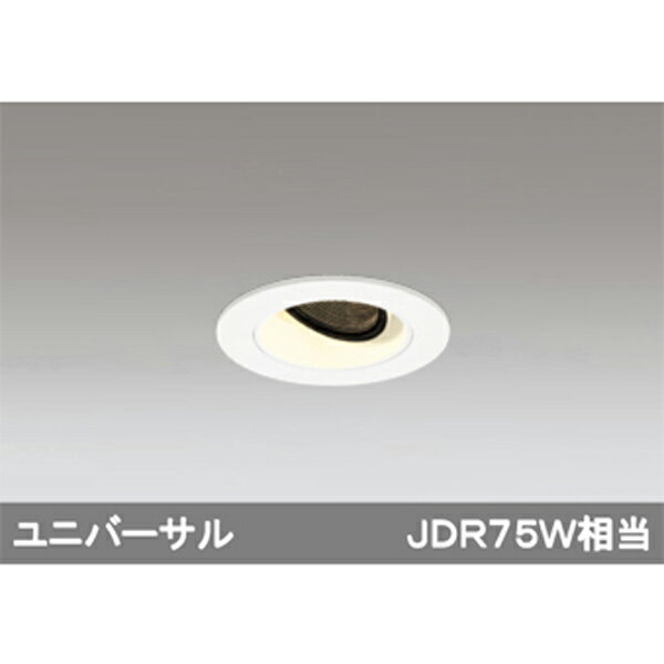 XD604123HCۥǥå ˥С饤 LEDη odelic