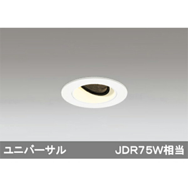 XD604131HCۥǥå ˥С饤 LEDη odelic