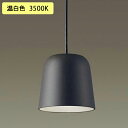 【XLGB1629CE1】パナソニック ペンダントライト LED(温白色) ダクトタイプ 吊下型 プラスチックセードタイプ 拡散タイプ 白熱電球60形1灯器具相当