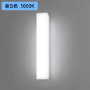 【法人様限定】【NNFW21810CLE9】パナソニック 天井直付型 壁直付型 LED(昼白色) ウォールライト 防湿型 防雨型 Hf蛍光灯16形 1灯器具相当/代引き不可品