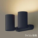 【LGS1311LLB1】 パナソニック スポット・ダクト スポットライト LED一体型 美ルック 調光可能 ライコン別売