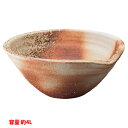 【HW1023-001】三栄 ベンリーシンク 洗面器 手洗器 利楽(りらく)シリーズ 手洗器 SANEI