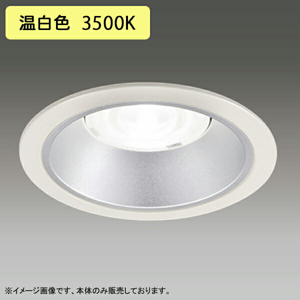 LEDD-60043WWV LEDη饤  125 ̷ 俧ȿ ۸ 55 ѥ  Ÿ˥å   TOSHIBA