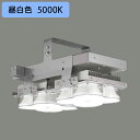 【LEDJ-43005N-XD9】東芝 LED高天井器具 かんたん無線調光シリーズ SceneLED 1kW形メタルハライドランプ器具相当 1/2ビーム角 広角...