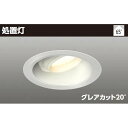 東芝 LED処置灯（ユニバーサルダウンライト） LED一体形タイプ グレアカット20°電球色（相関色温度 3000K）