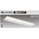 【LEKRS430204N-LS9】東芝 TENQOOシリーズ 非常用照明器具 40タイプ埋込(W300) 高出力タイプ 一般タイプ FLR40×1省電力タイプ...