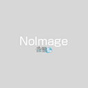 日本イトミック 小型電気温水器専用膨張水排出装置 ブローキャッチャー 開放型 トラップG2×塩ビ管40A トラップG2×ホース口G2 小型電気温水器部材 BCH...