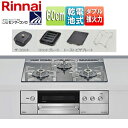 リンナイ 【SALE】ビルトインガスコンロ デリシア 60cm 乾電池 ガラストップ:プラチナミラー ごとく:ステンレス ザ・ココット付属 ココットプレート付属...