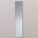 TOTO 全身鏡 パブリック用アクセサリー 洗面所用 300×1500 アクセサリー YMK50K