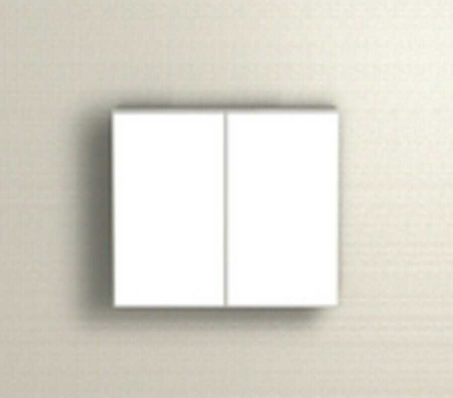 ドルフィン[V800]