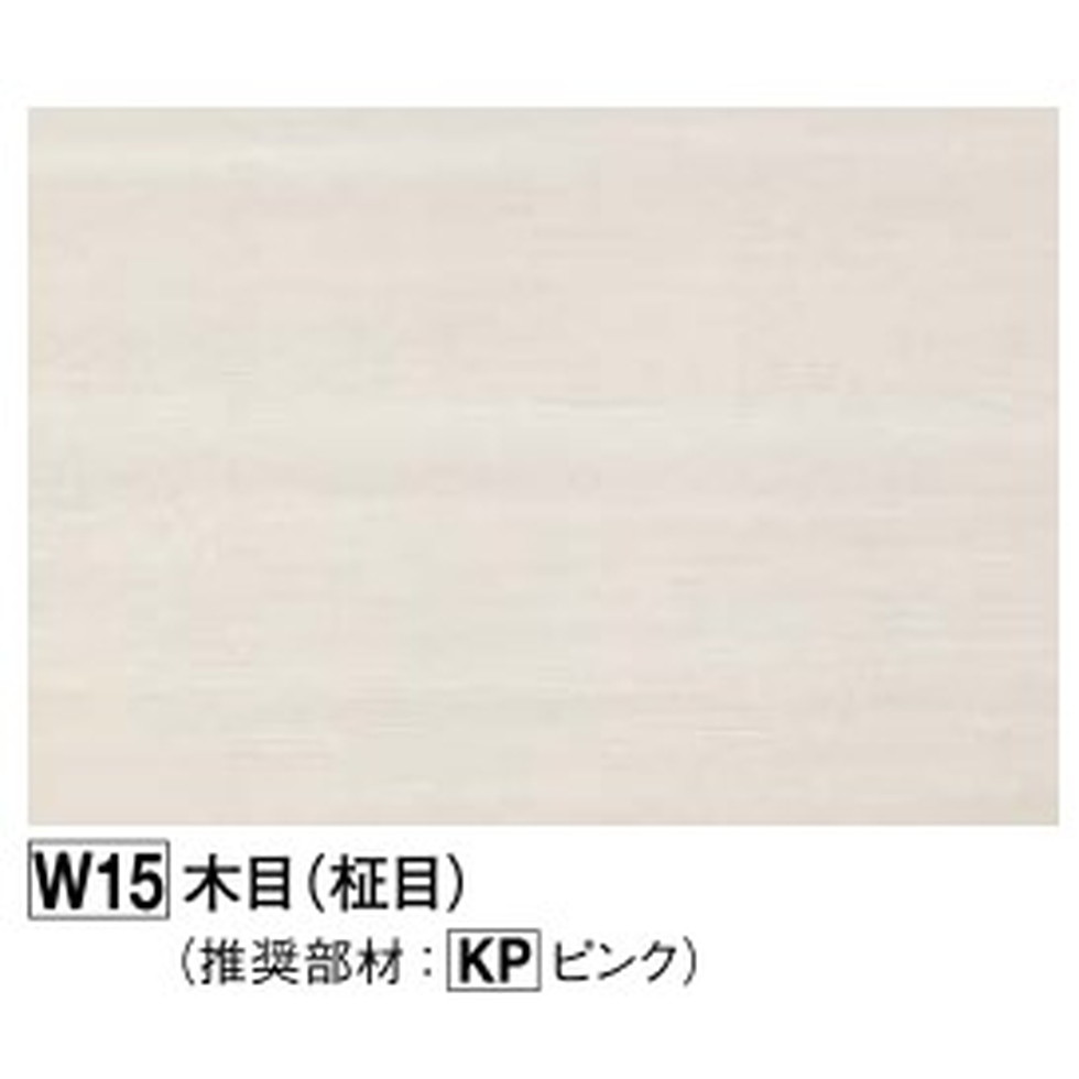 ե[KAP2W15-1Хʸ]̥ѥ졼