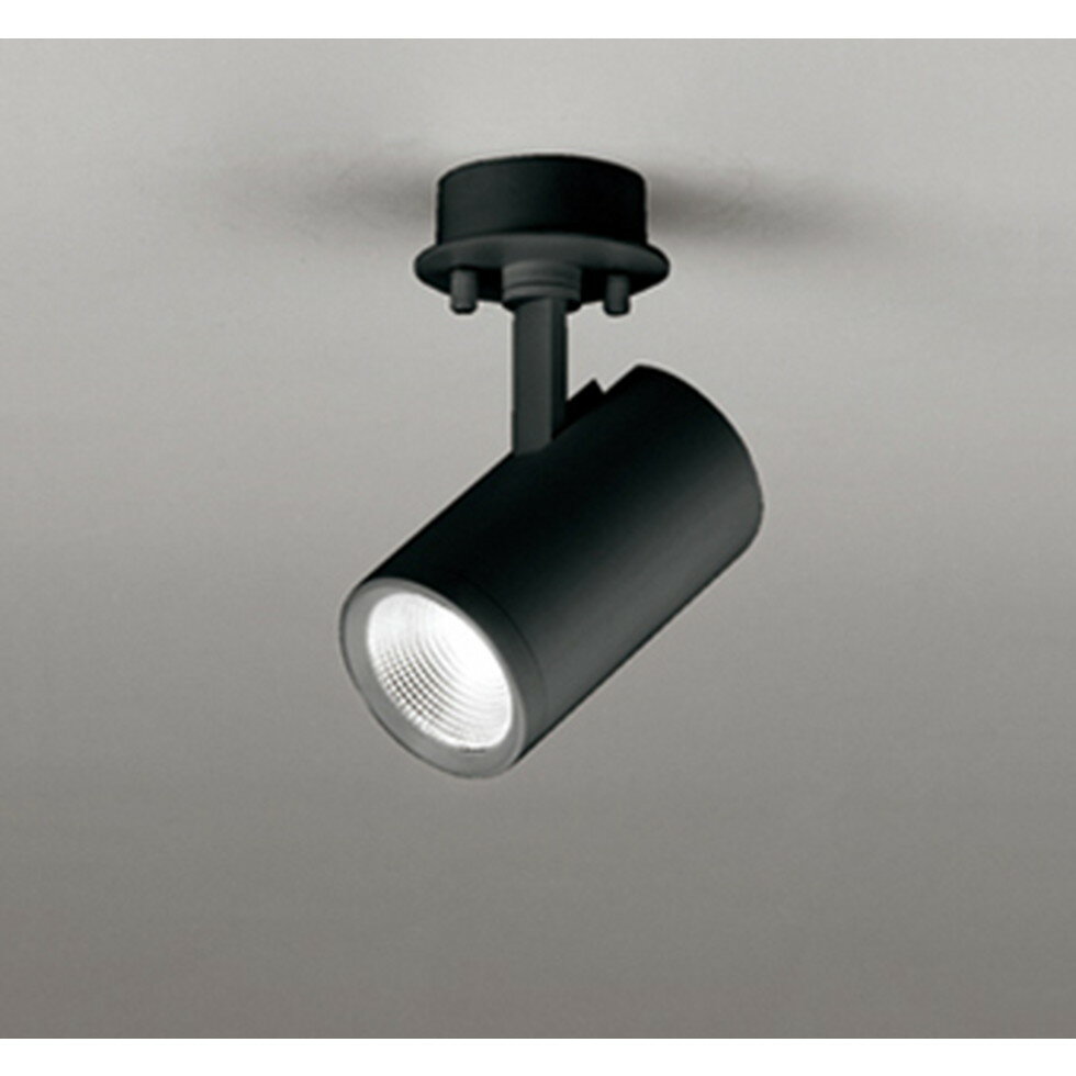 オーデリック[OS256538R]スポットライト