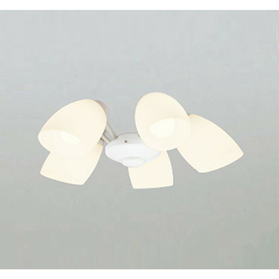 オーデリック[WF804PR]シーリングファン