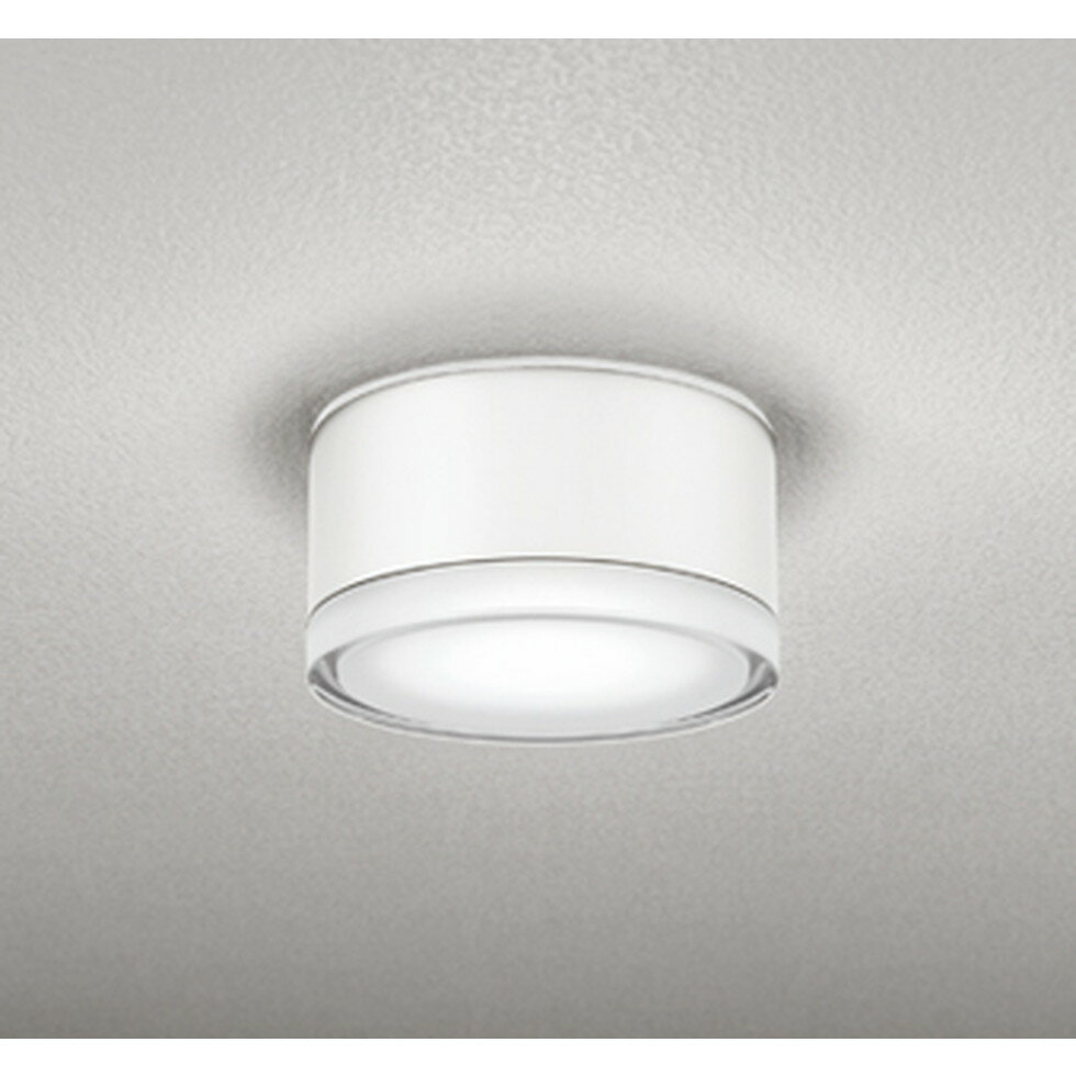 OG254679 | 照明器具 | エクステリア LEDスポットライト 投光器