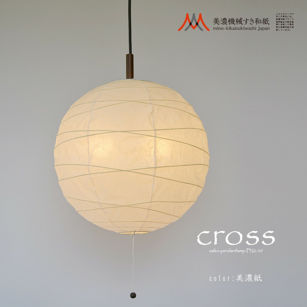 彩光デザイン[PN2-39]ペンダントライト