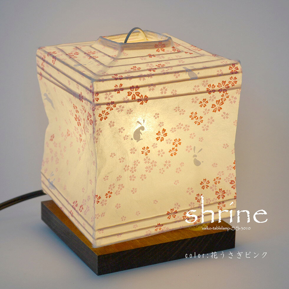 彩光デザイン[SS-3010]スタンドライト