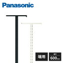【法人様限定】パナソニック アイシェルフ 支柱 端用 奥行600mm 2本入 QEA03M2 Panasonic
