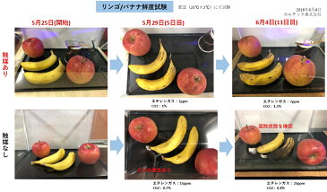 お部屋をマスクしてウイルスやっつけます！【送料無料】 カルテック KL-W01 光触媒除菌脱臭空気清浄機 赤ちゃん 病院 5分で【インフルエンザウイルス99.9％除去】花粉にも メンテも簡単 オゾン 次亜塩素酸を使わないので安全・安心！洗肺遊