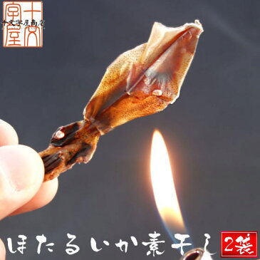 日本海産ほたるいか素干し 25g入り×2袋 メール便送料無料 丸干し するめ スルメ 魚系 おつまみ お試し いか イカ ホタルイカ素干し DM便発送 コロナ 応援 食品 訳あり お取り寄せグルメ 食品ロス 在庫処分