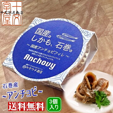 アンチョビ 石巻産カタクチイワシで作る希少な国産品お得な3個セット メール便送料無料 いわし 産地直送