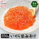 お買い物マラソン＼半額以下／鱒いくら醤油漬け 250g×4パック 1kg 北海道加工 いくら イクラ 鱒 マス ます 鱒子 醤油漬け 醤油 しょうゆ漬け 海鮮 冷凍 お取り寄せグルメ 贈り物 グルメ 訳あり 1キロ 送料無料