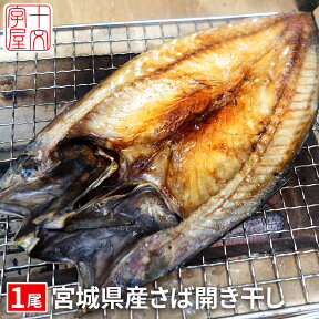 【同梱おすすめ】石巻の至宝 宮城県産さば開き干し 大サイズ300g以上 金華サバ 金華鯖 干物 宮城 石巻 hsk