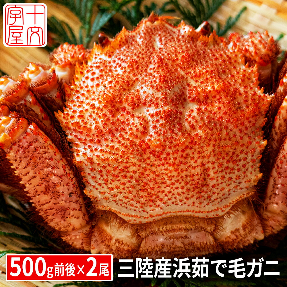 お歳暮 ギフト 三陸産 浜茹で毛蟹 500g前後×2尾 1kg セット 大サイズ 毛ガニ 毛がに けがに ケガニ 堅蟹 ボイル 産地直送 宮城県産 かに カニ 蟹味噌 カニミソ かにみそ お取り寄せ グルメ プレゼント 2匹 2杯 1キロ 国産 年末年始 送料無料