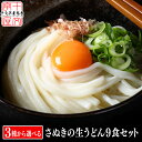 製麺所から打ち立て直送 3種類から選べる 本場香川の 讃岐うどん 9人前 300g×3袋 9食セット 釜玉 ぶっかけ 生麺 グルメ 食品 お取り寄せ ポスト投函...