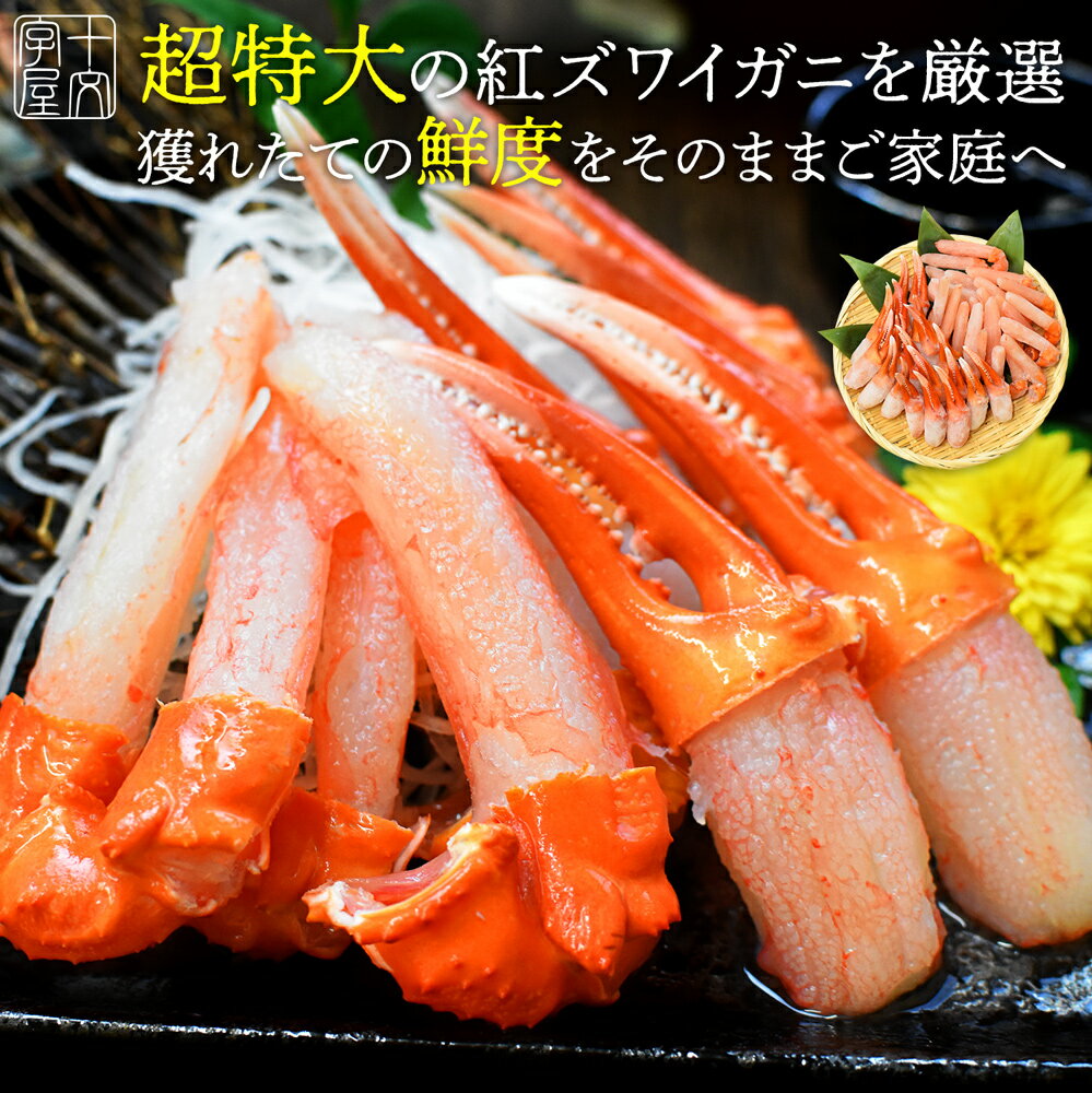 楽天市場25周年★勝手に協賛セール！ 【選べる】北海道産 生紅ズワイガニポーション カニ爪 爪下 500g お刺身OKの高鮮度 棒肉 ポーション 国内加工 生ずわいがに 生ずわい蟹 生ズワイ蟹 かに カット済み カニ しゃぶしゃぶ 鍋 送料無料 太脚・爪下 パック hsk