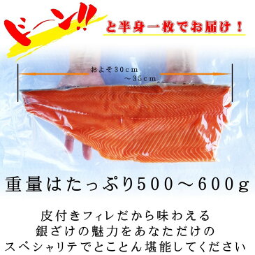 【送料無料】安心と安全の純国産サーモン☆宮城県産骨なしお刺身用金華銀ざけたっぷり半身一枚_女川産_ギンザケ_銀鮭_サケ_金華銀_金華銀鮭 しゃけ ギフト 御中元 あす楽 お中元 御歳暮 お歳暮