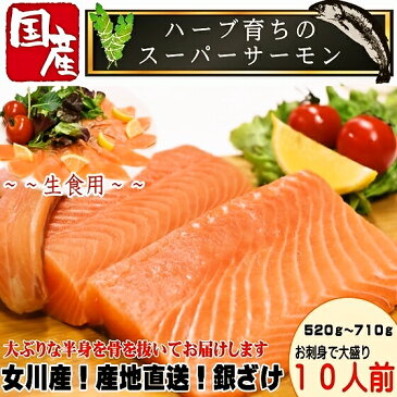 プロが絶賛の宮城県産お刺身銀ざけ 骨なしたっぷり半身一枚/サーモン/銀鮭/さけ/産地直送/サケ/