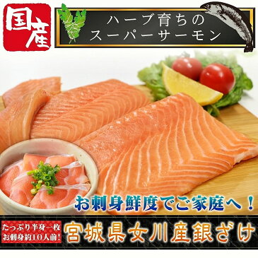 【送料無料】安心と安全の純国産サーモン☆宮城県産骨なしお刺身用金華銀ざけたっぷり半身一枚_女川産_ギンザケ_銀鮭_サケ_金華銀_金華銀鮭 しゃけ ギフト 御中元 あす楽 お中元 御歳暮 お歳暮